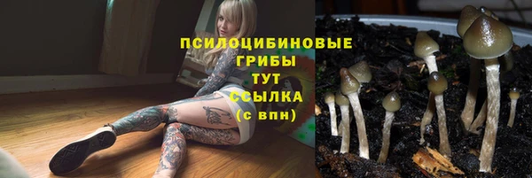 гашишное масло Алексеевка