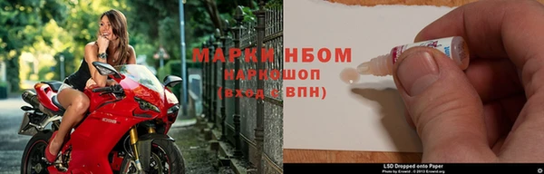 амф Аркадак